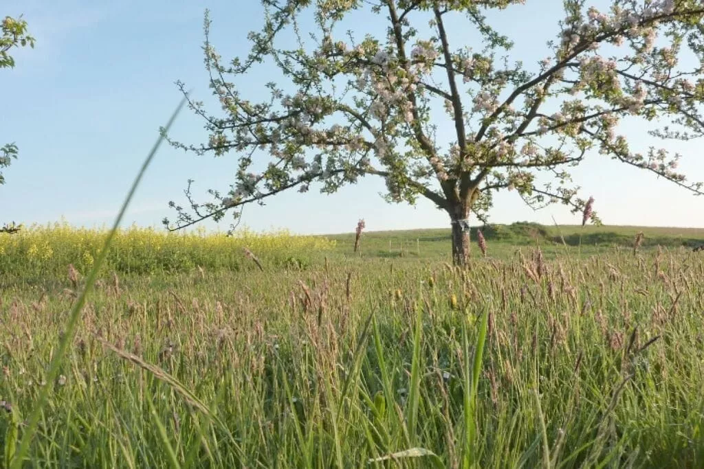82515-Nicht getaggt