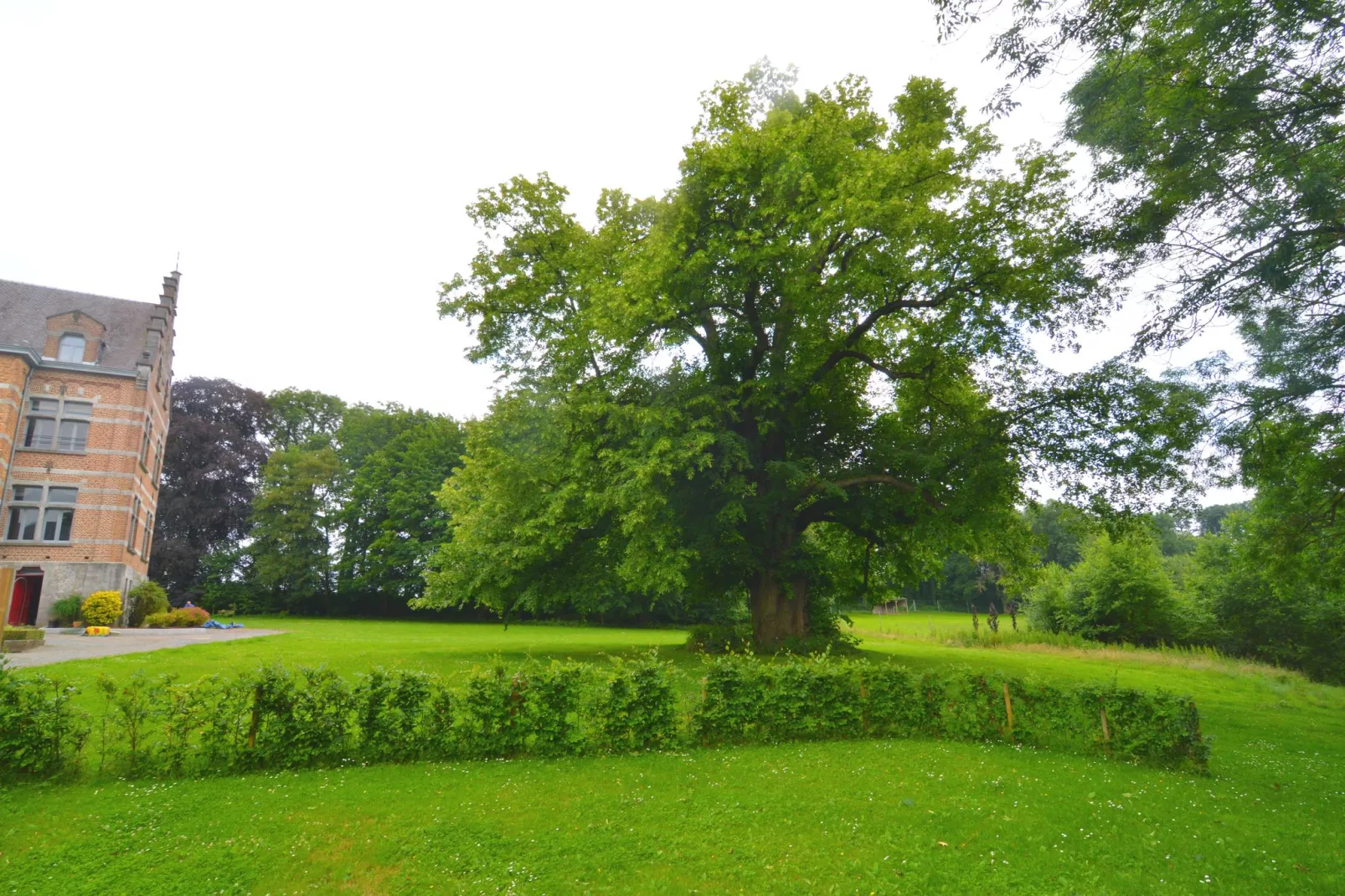 En Face du Château-View summer