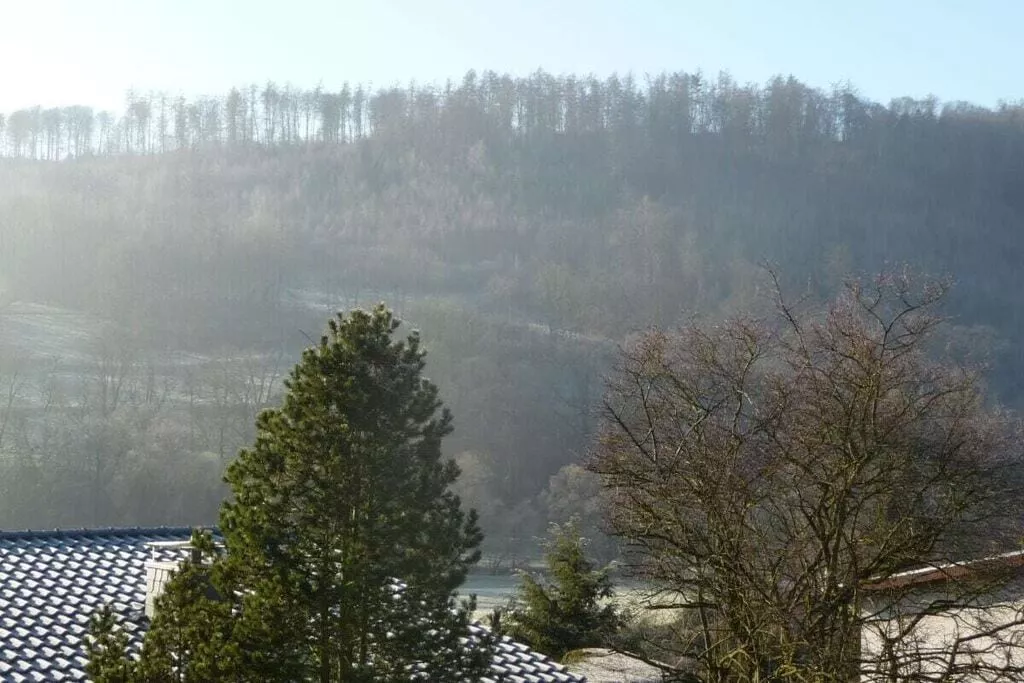 297466-Nicht getaggt
