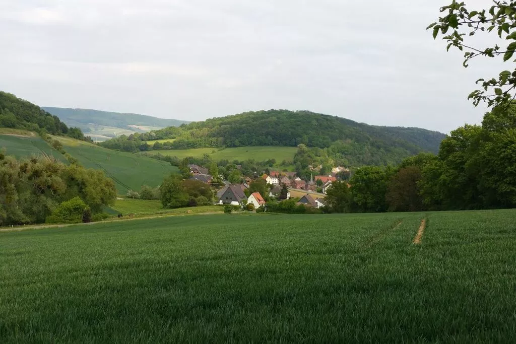 297466-Nicht getaggt
