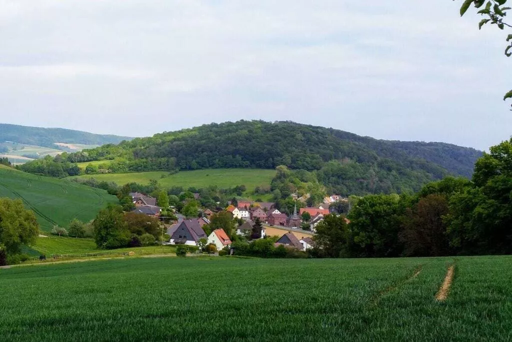 297466-Nicht getaggt