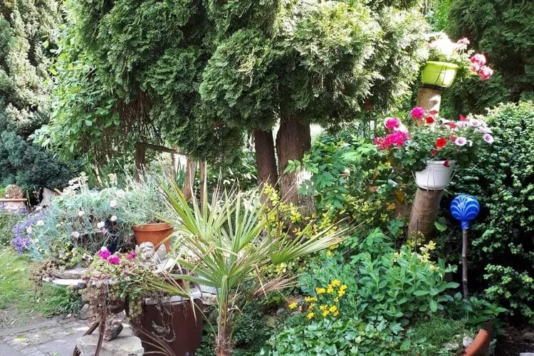 Ferienhaus Wernigerode-Gardens summer