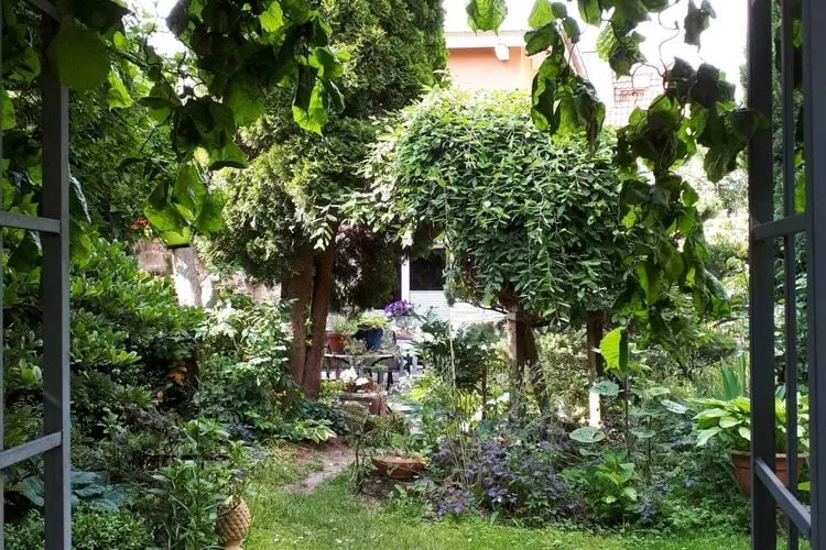 Ferienhaus Wernigerode-Gardens summer