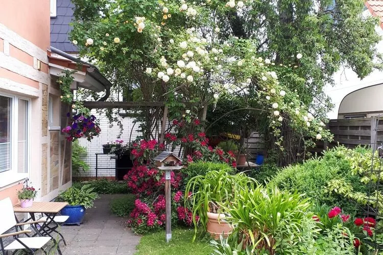 Ferienhaus Wernigerode-Gardens summer