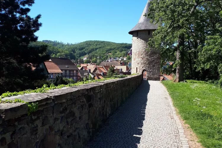 Ferienhaus Wernigerode-Areas summer 5km