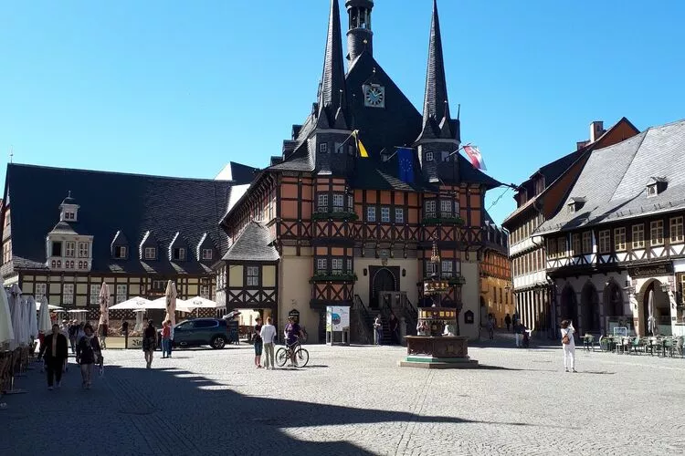 Ferienhaus Wernigerode-Areas summer 5km
