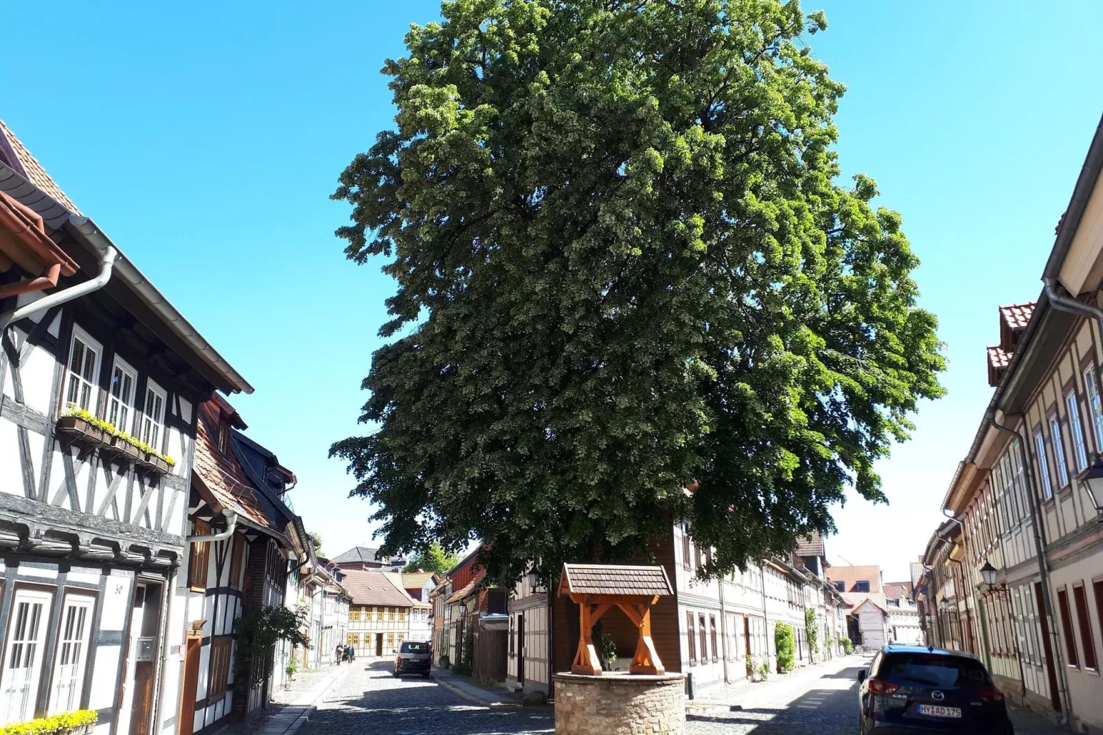 Ferienhaus Wernigerode-Areas summer 5km