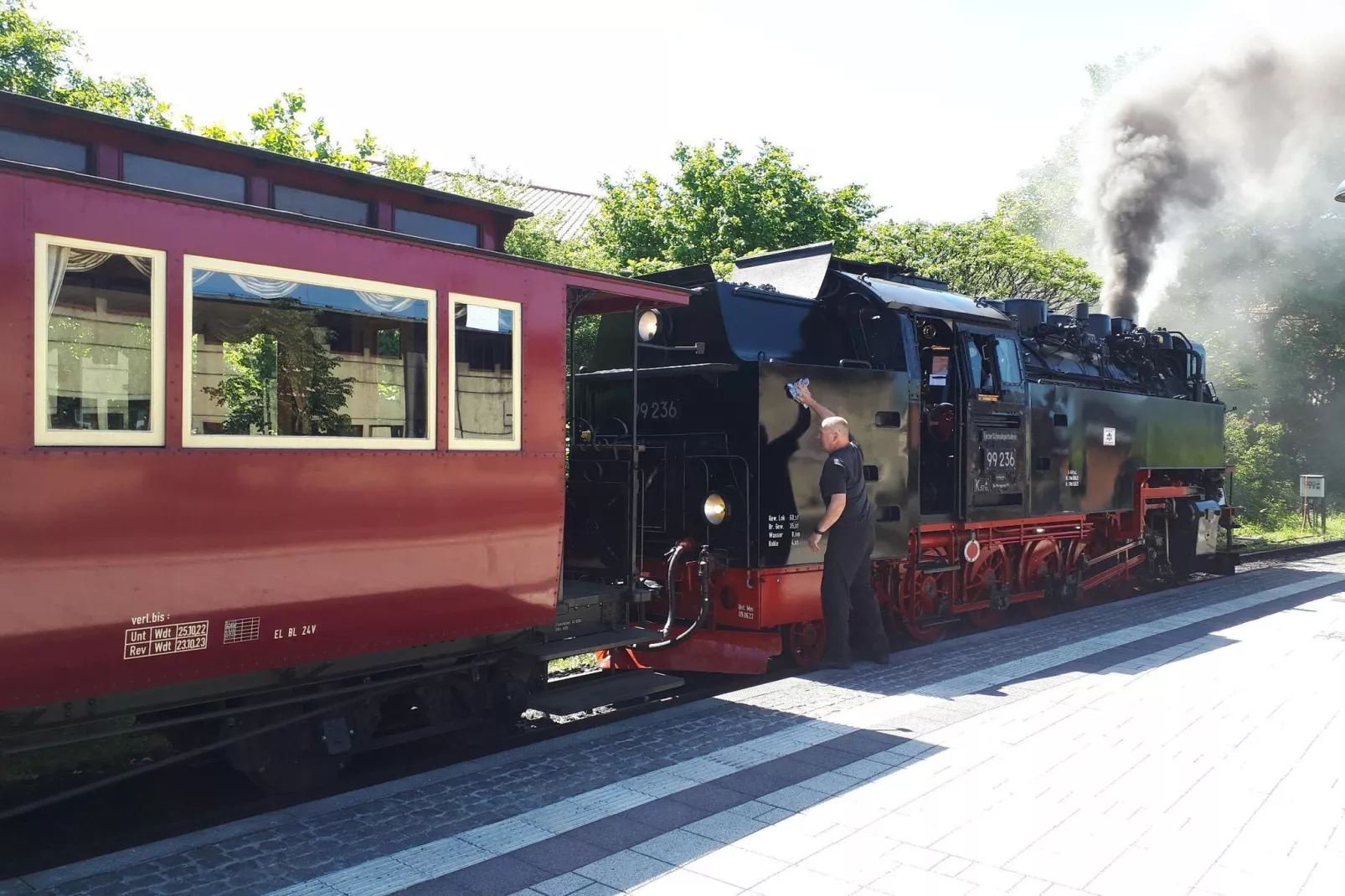Ferienhaus Wernigerode-Areas summer 5km