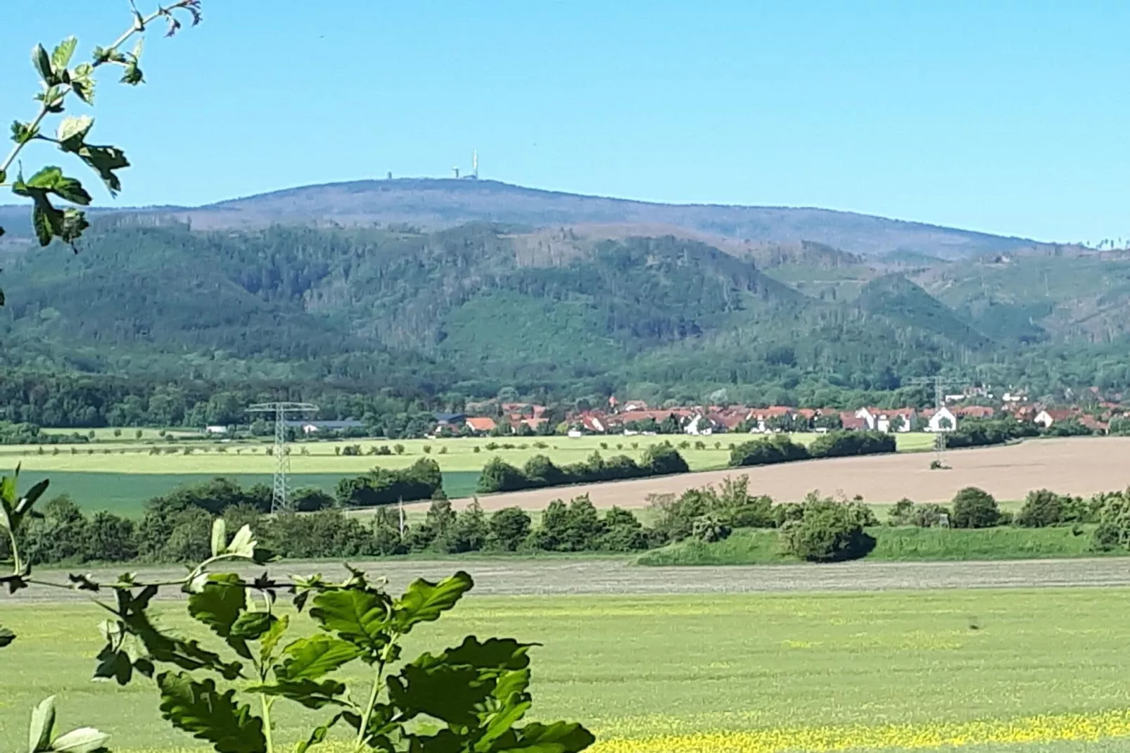Ferienhaus Wernigerode-Areas summer 20km