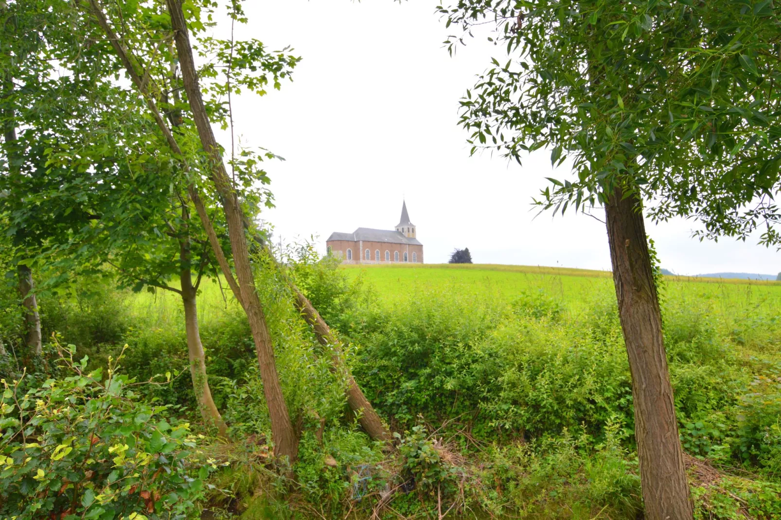 En Face du Château-Areas summer 5km