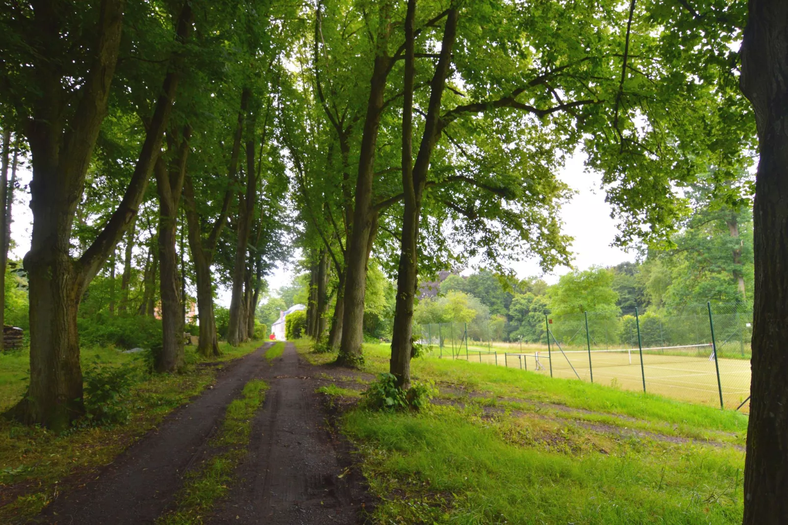 Le Vieux Tilleul du Château-Areas summer 1km