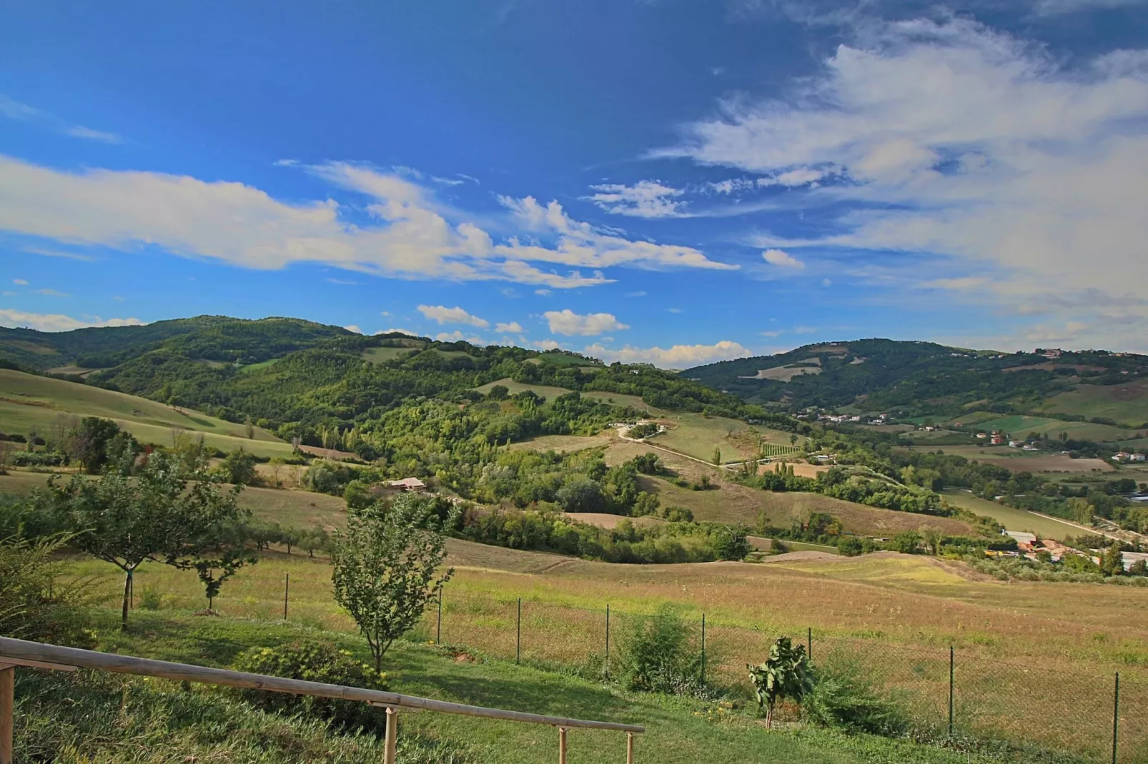 Daino-Areas summer 1km