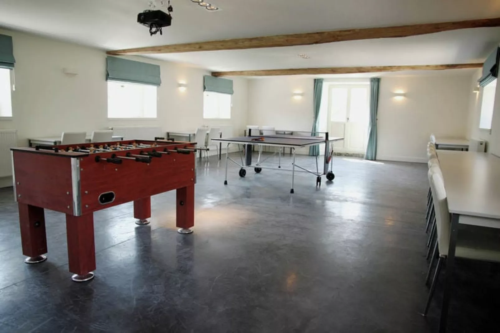 Chateau des Deux Etangs 36 pers-Recreation room