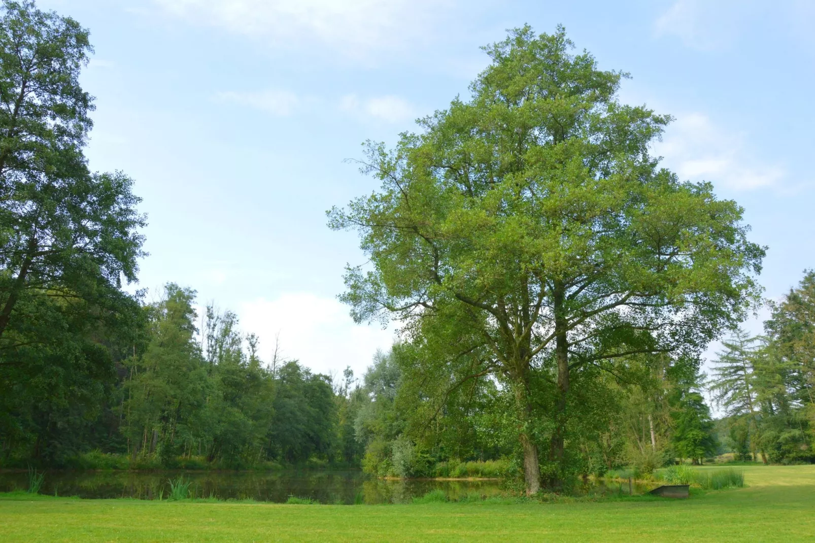 Chateau des Deux Etangs 36 pers-Gardens summer