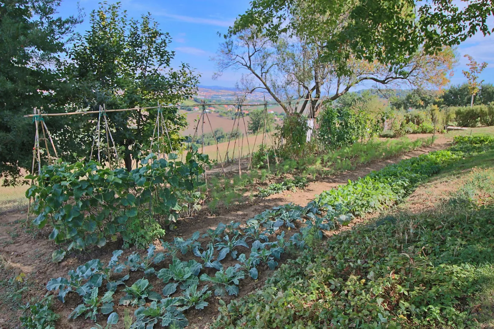 Istrice-équipements