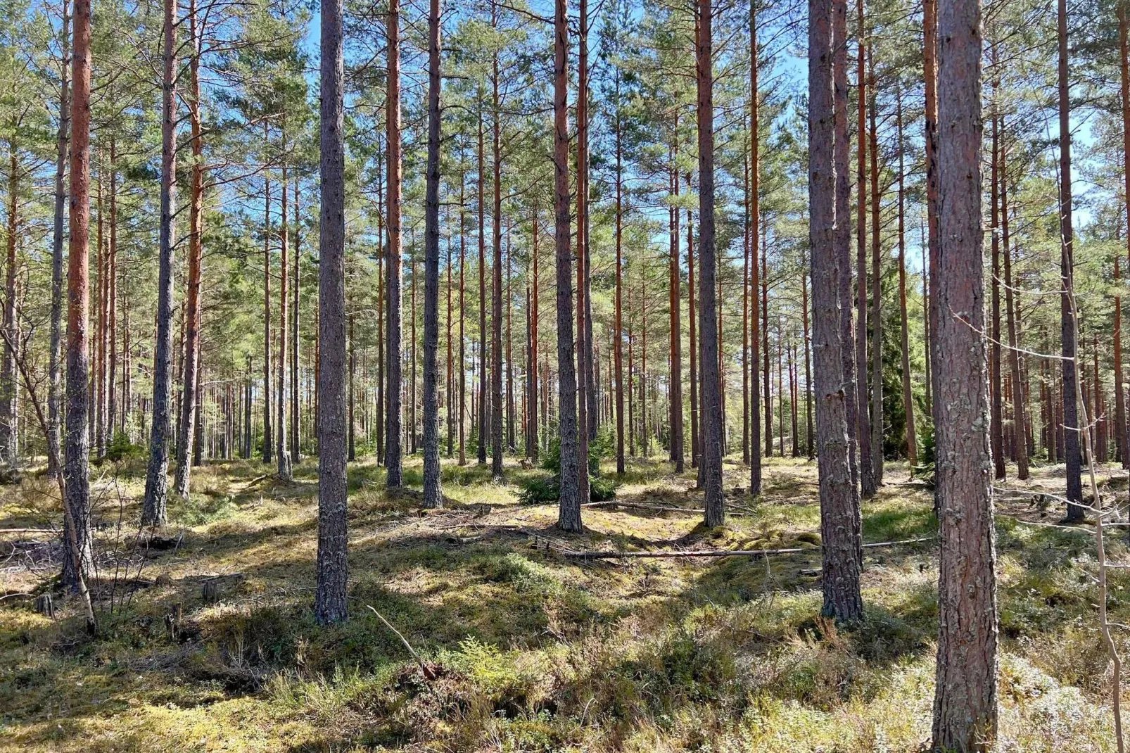 7 person holiday home in JÄRNA