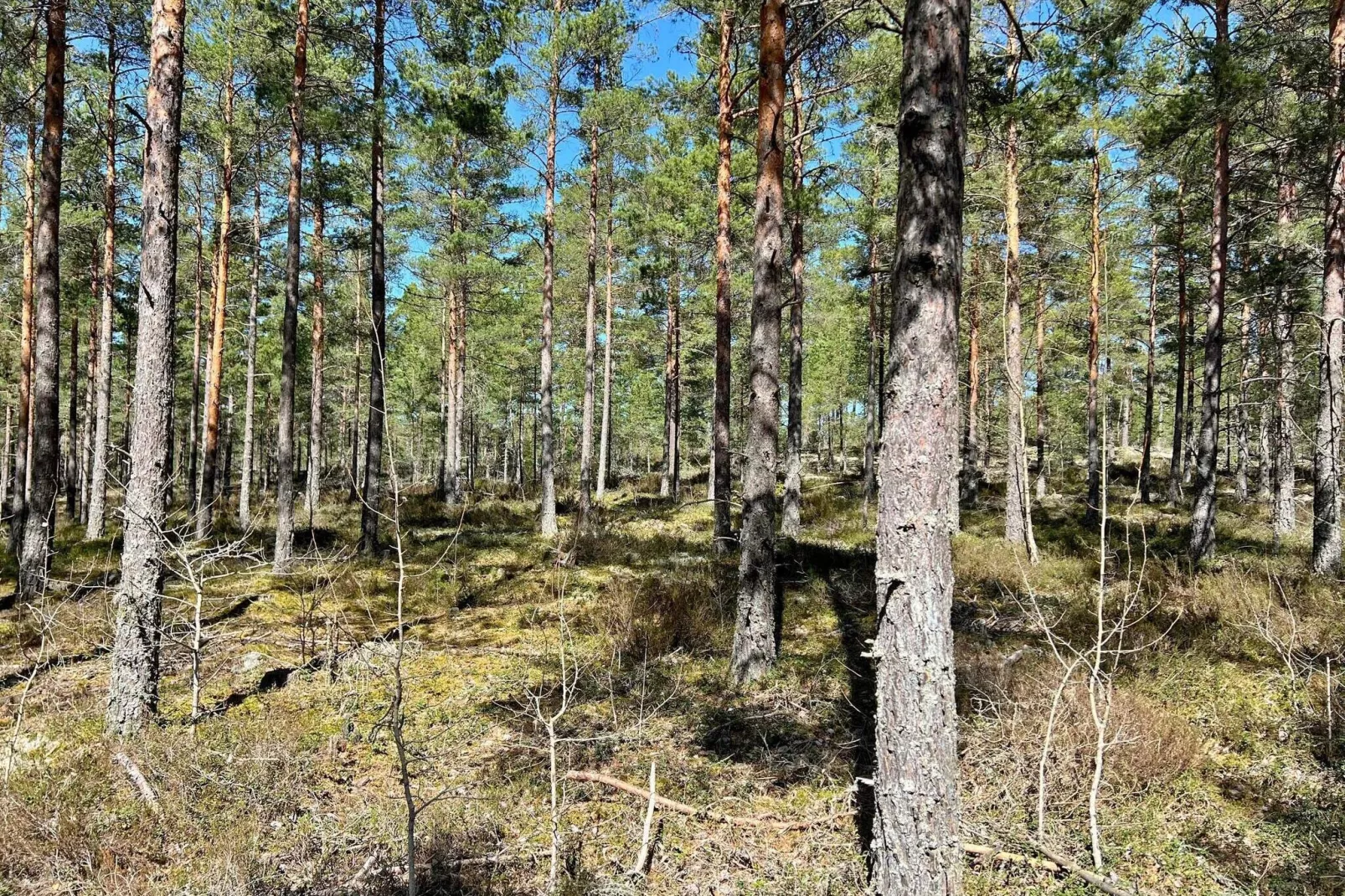 7 person holiday home in JÄRNA-Outdoor