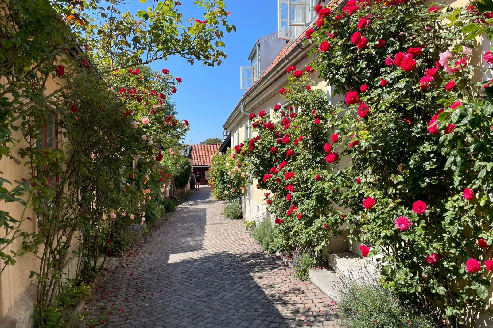 5 star holiday home in VISBY-Not tagged