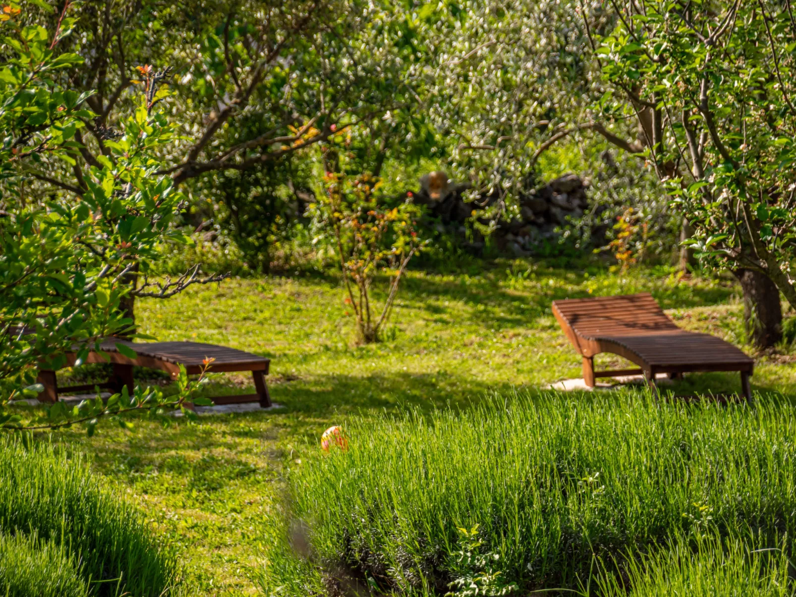 Little Tuscany for Two-Draußen
