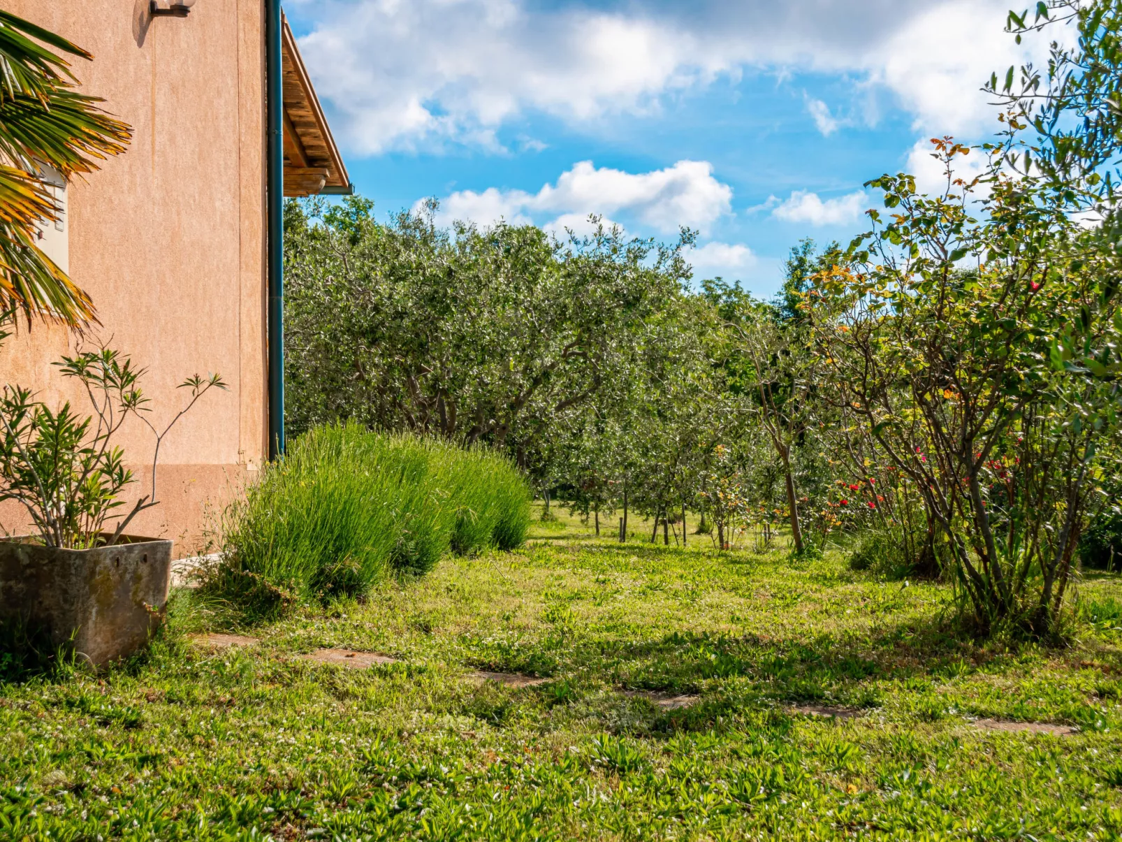 Little Tuscany for Two-Draußen