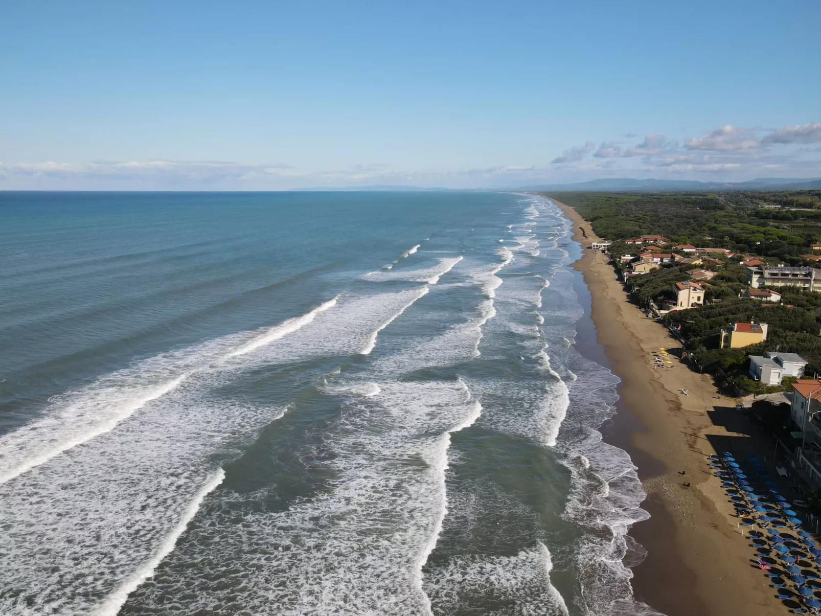 Francea e Mauro-Area
