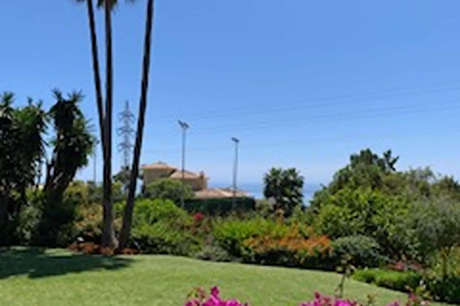 Casa Amarilla-Gardens summer
