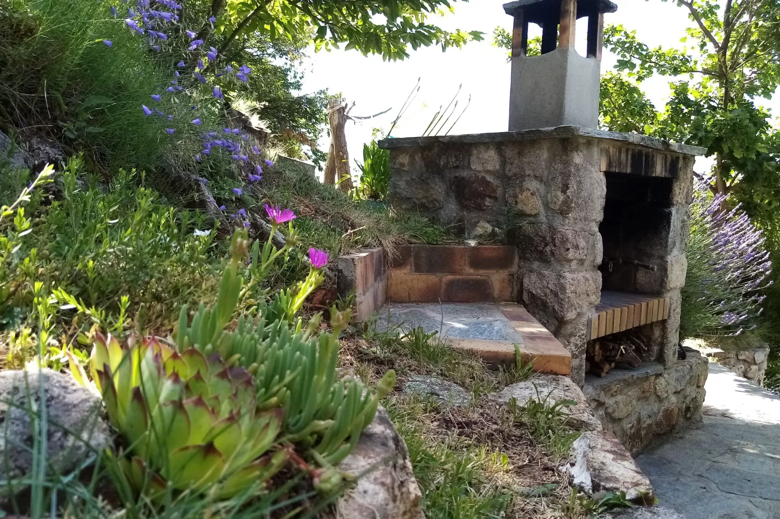Maison de vacances - Saint-Pierre-de-Colombier-Nicht getaggt