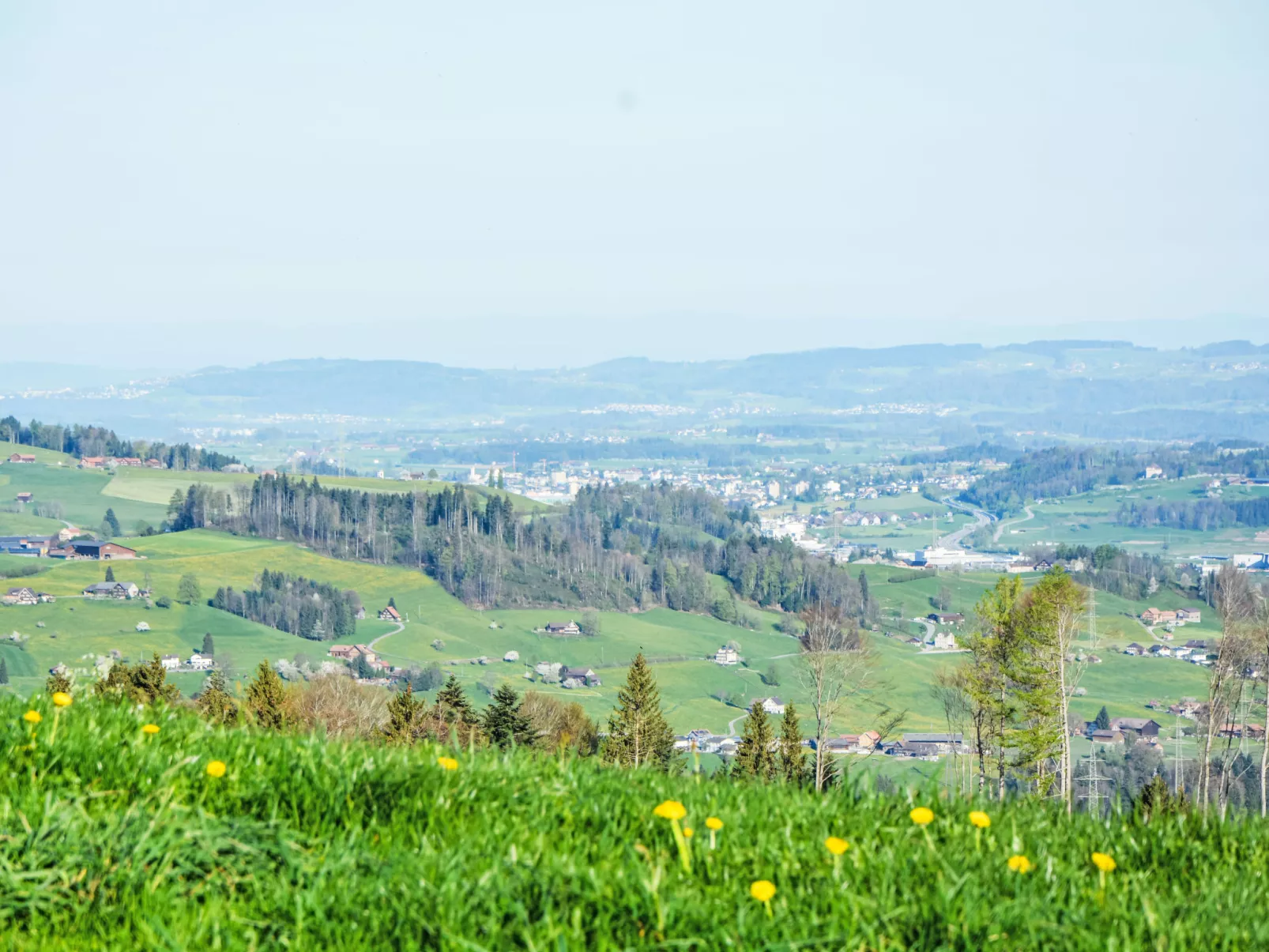 Panoramablick-Draußen