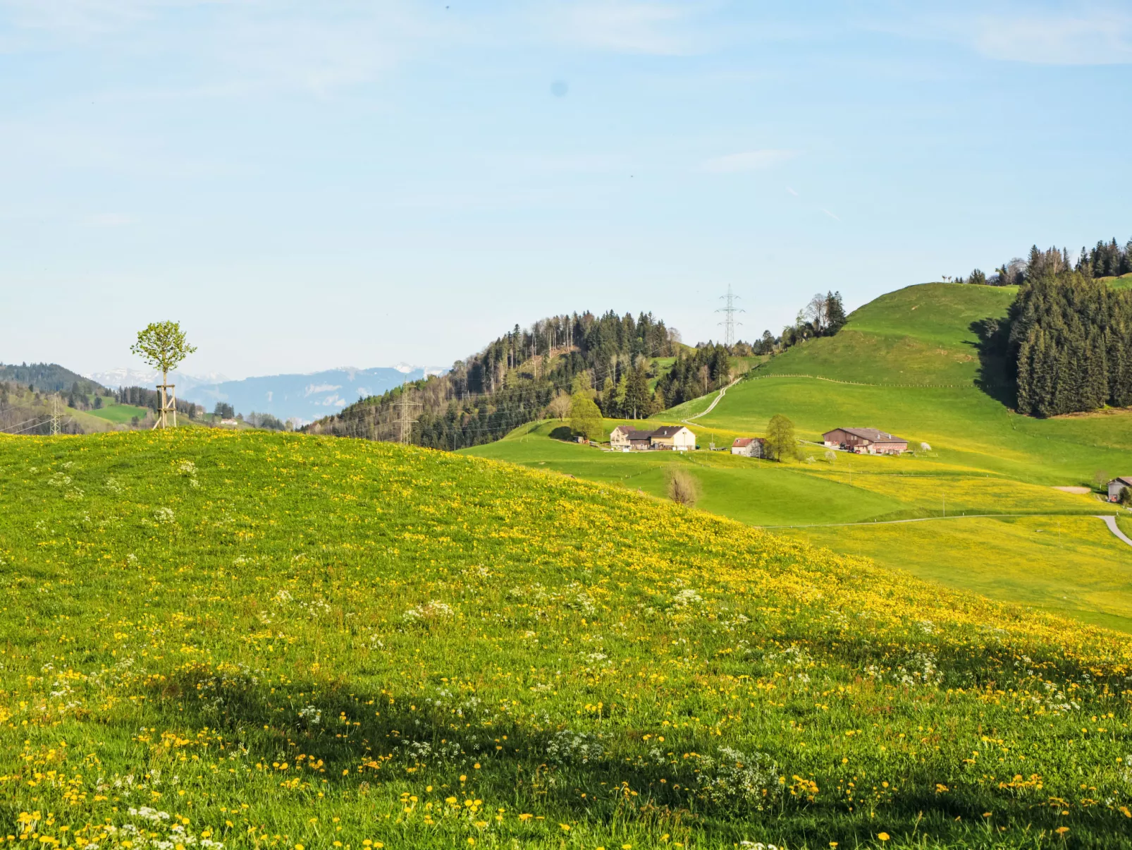 Panoramablick-Draußen
