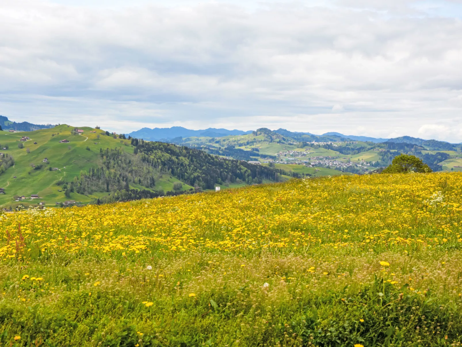 Panoramablick-Draußen