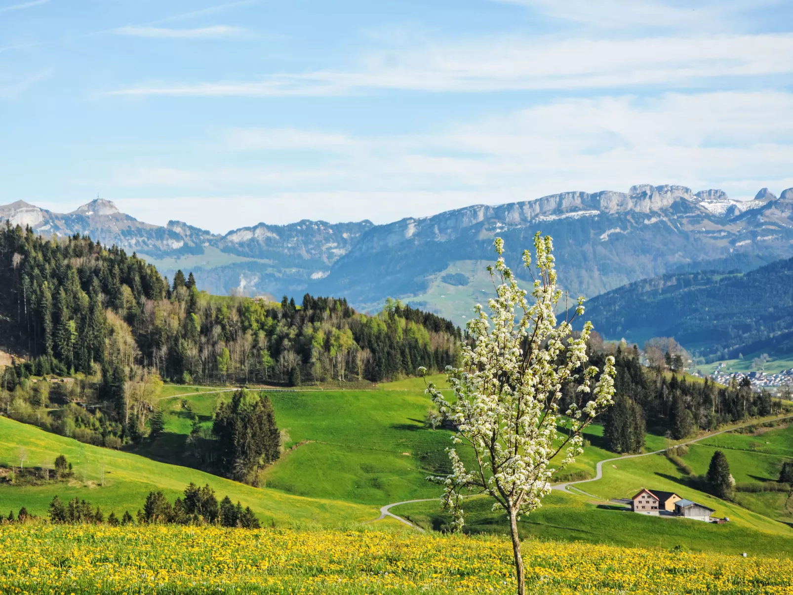 Panoramablick-Draußen