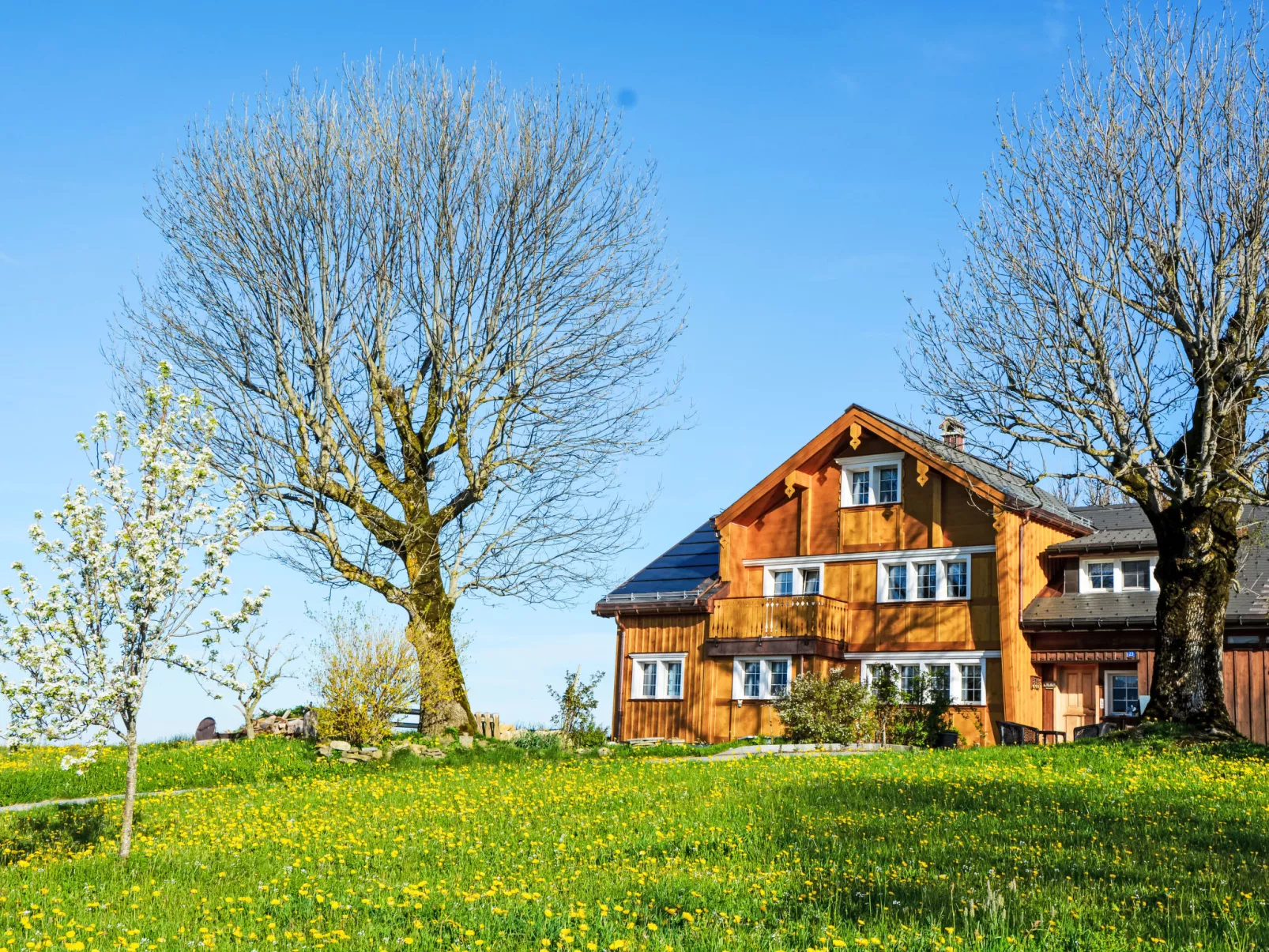 Panoramablick-Draußen