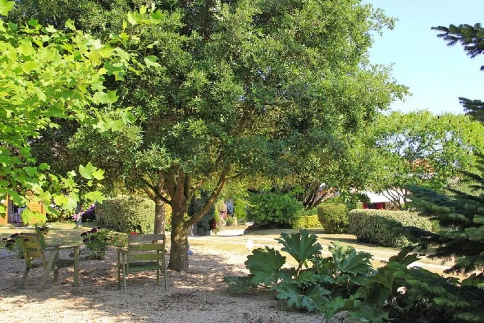 Holiday home Néville-sur-Mer-Jardin d'été