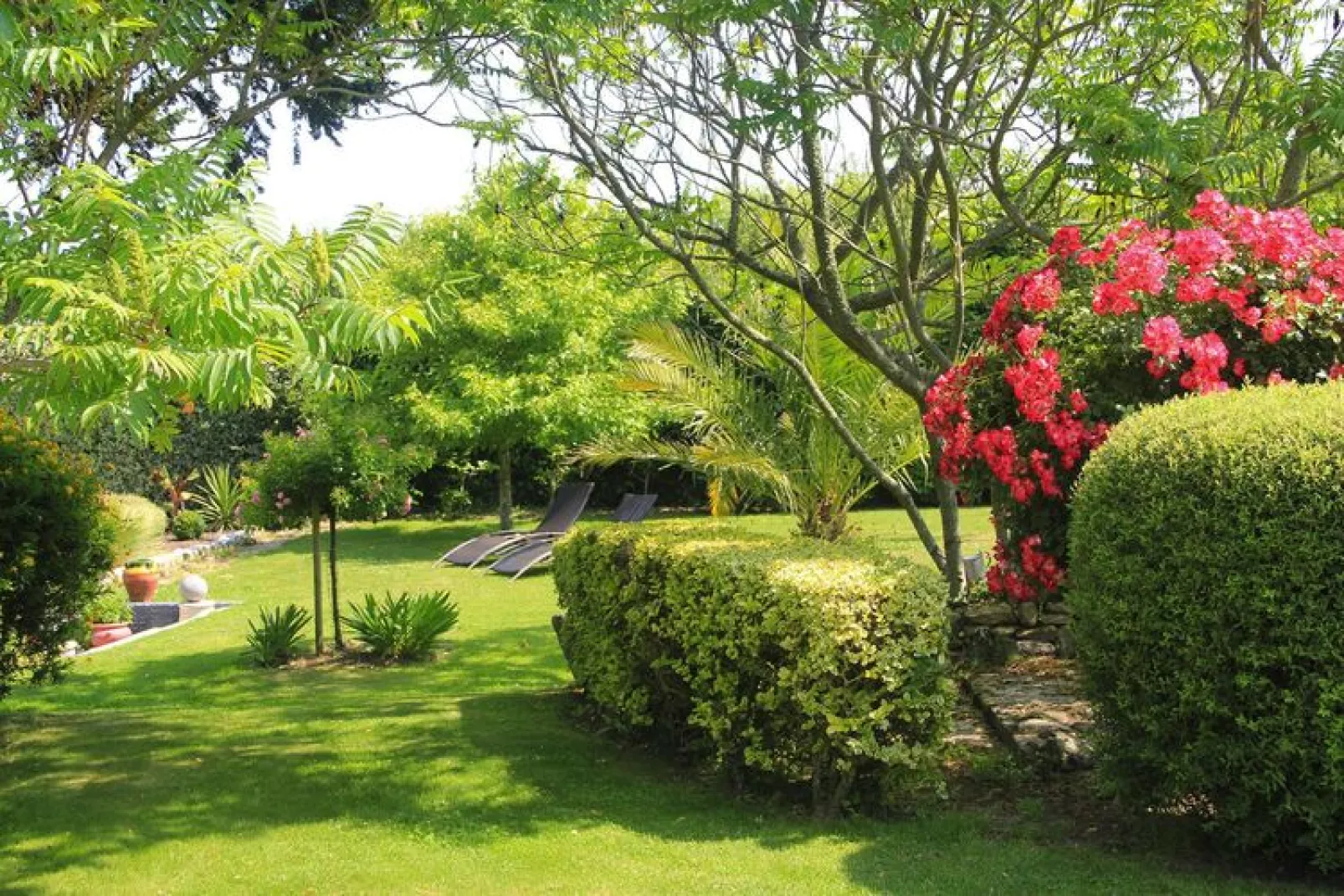 Holiday home Néville-sur-Mer-Jardin d'été