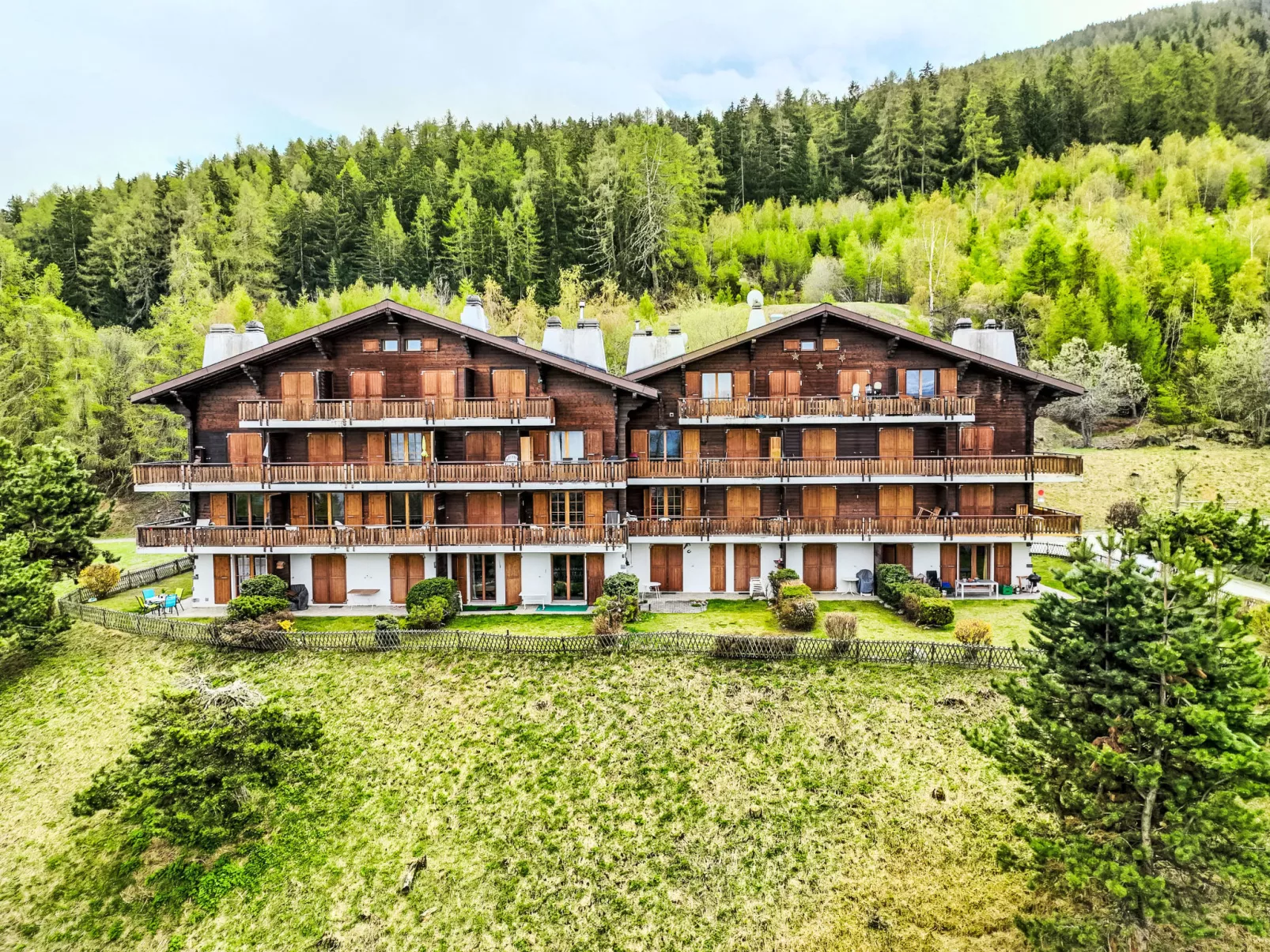Chamois AZ10