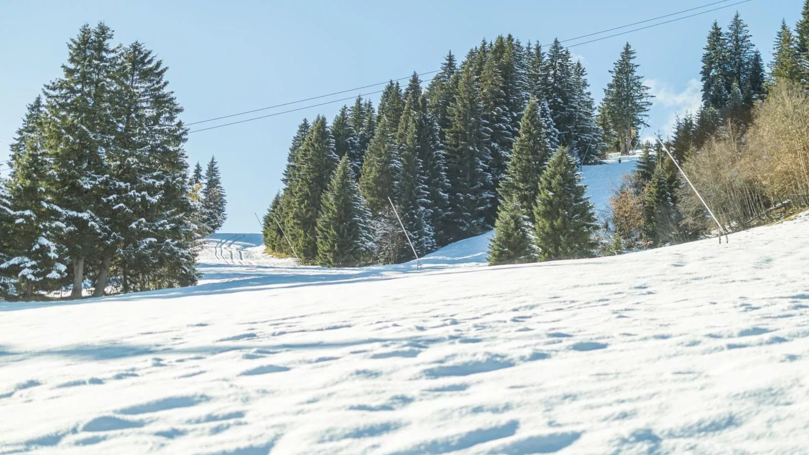 Siedelhütte-View winter
