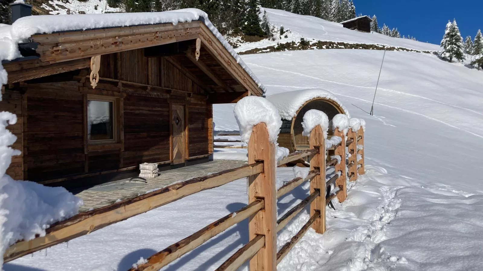 Siedelhütte-Exterior winter