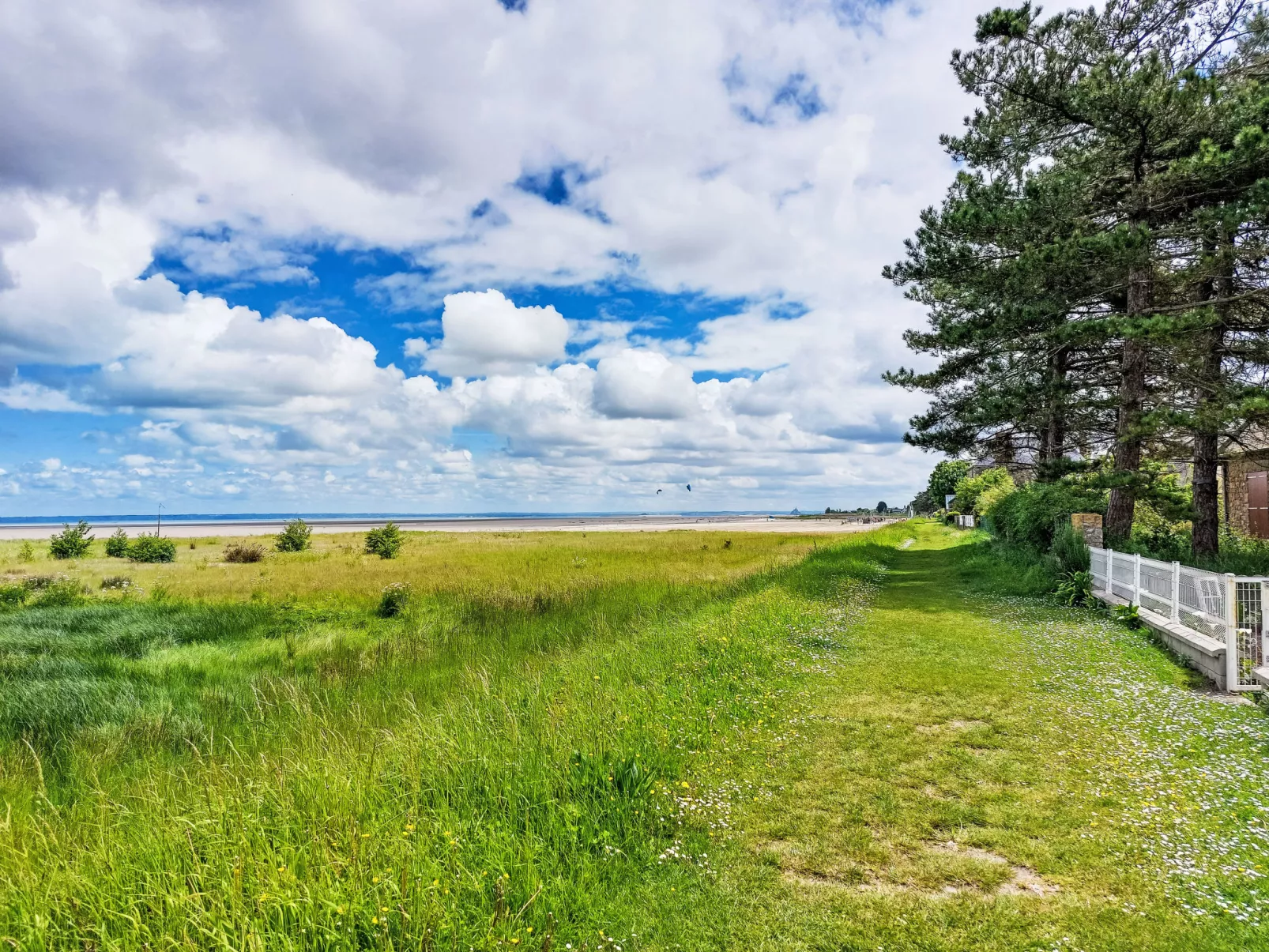 Les yeux dans la baie-Area