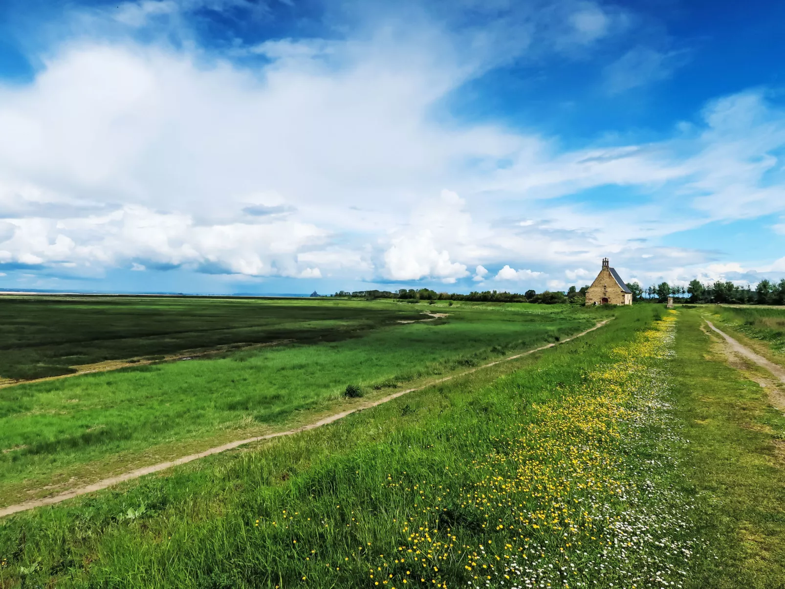 Les yeux dans la baie-Area