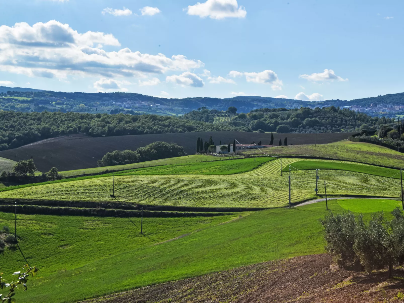 Podere Biancospino-Outside