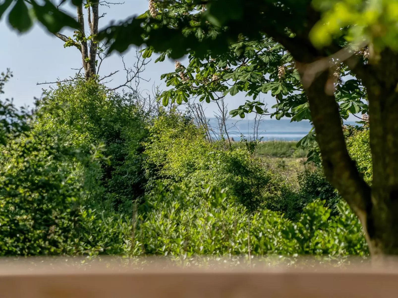 "Aike" - 100m to the inlet-Outside