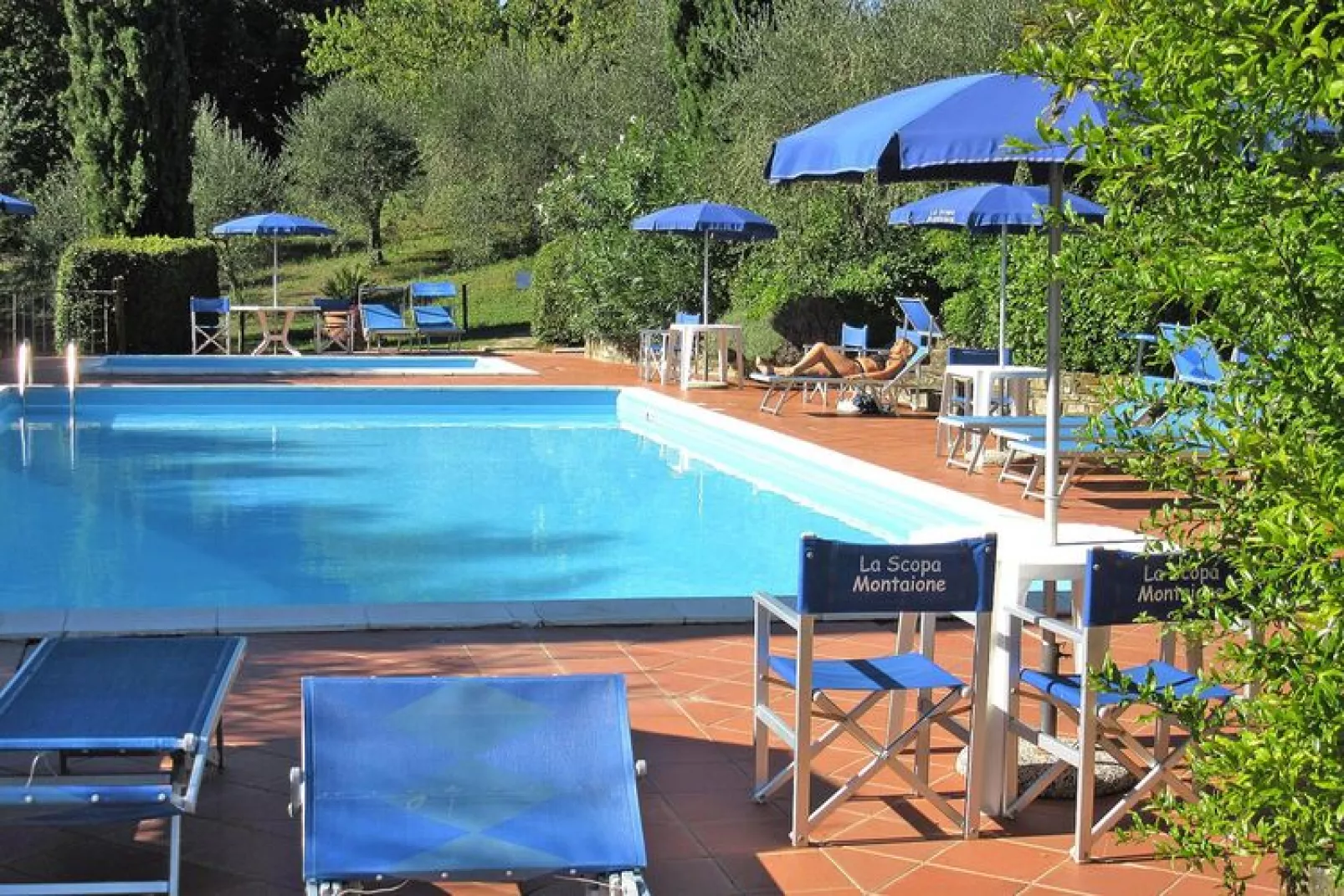 Agri-tourism La Scopa, Montaione-Rondine, Cardellino, Allodola