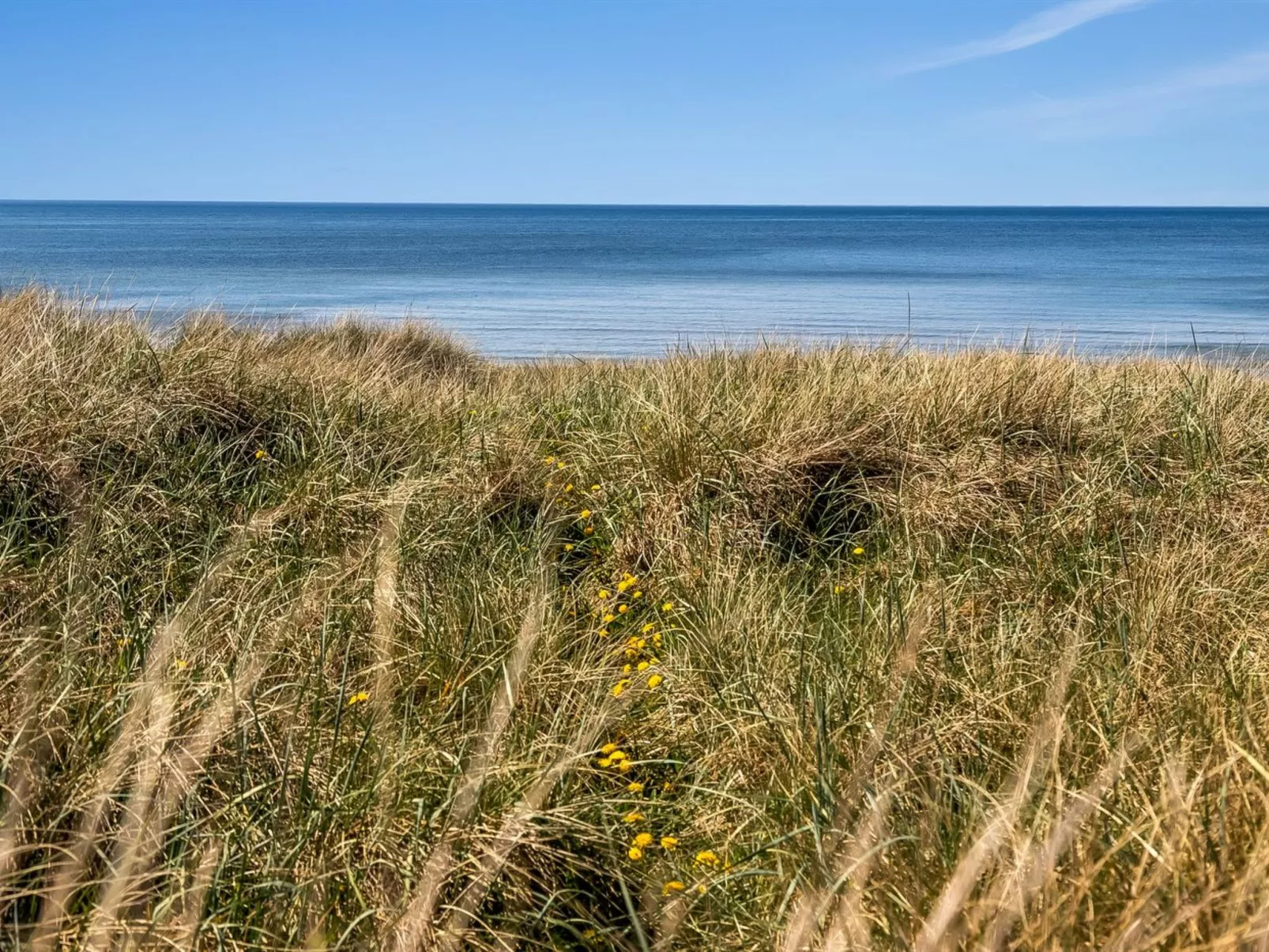 "Guthfrith" - 100m from the sea-Outside