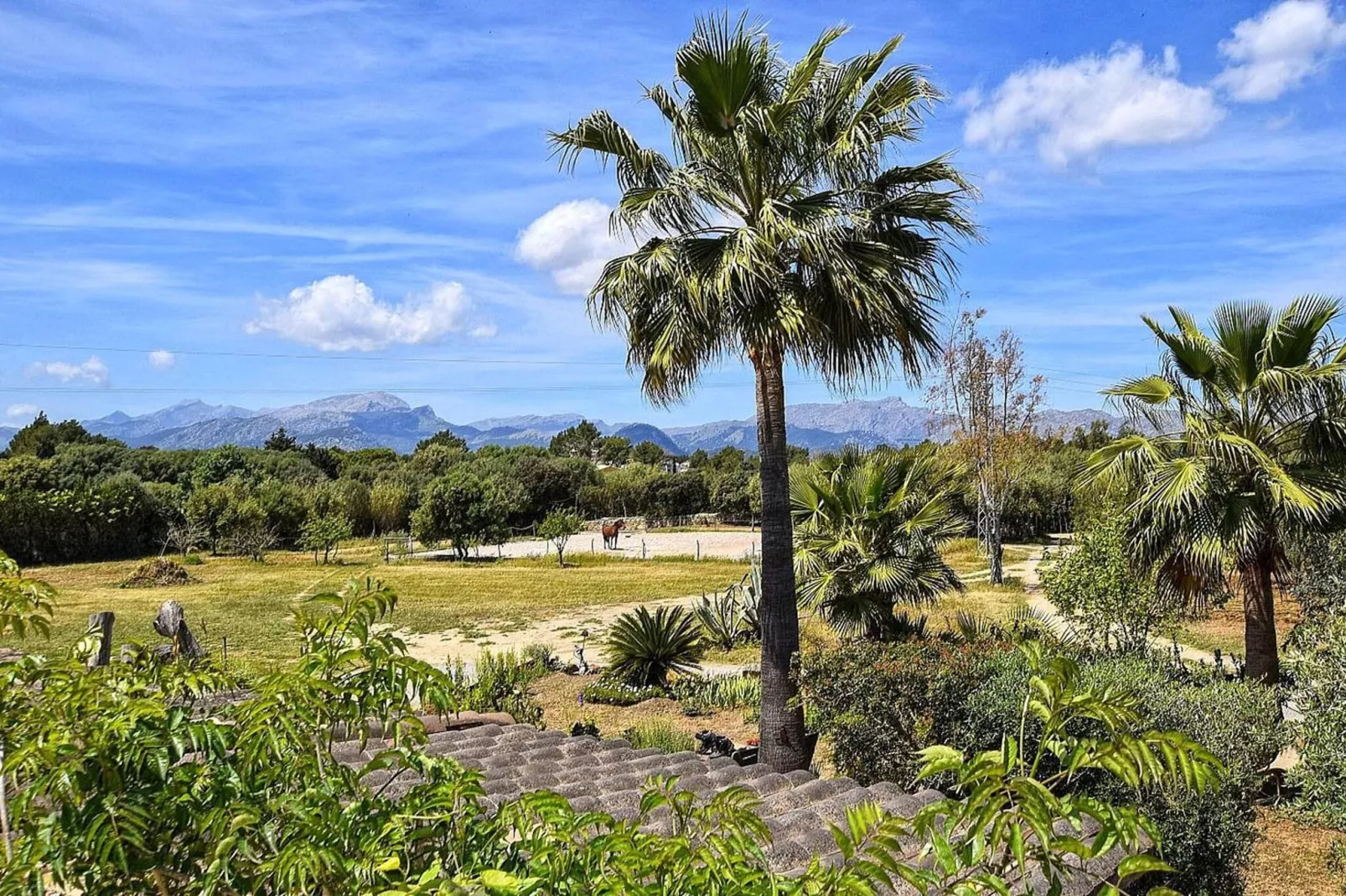 Sa Torre-View summer