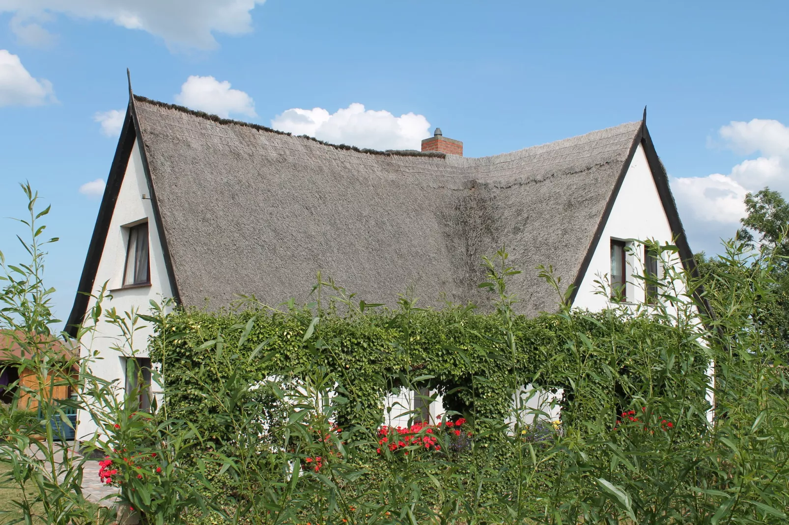 Schwalbenhof im Reetdachhaus-Exterior summer