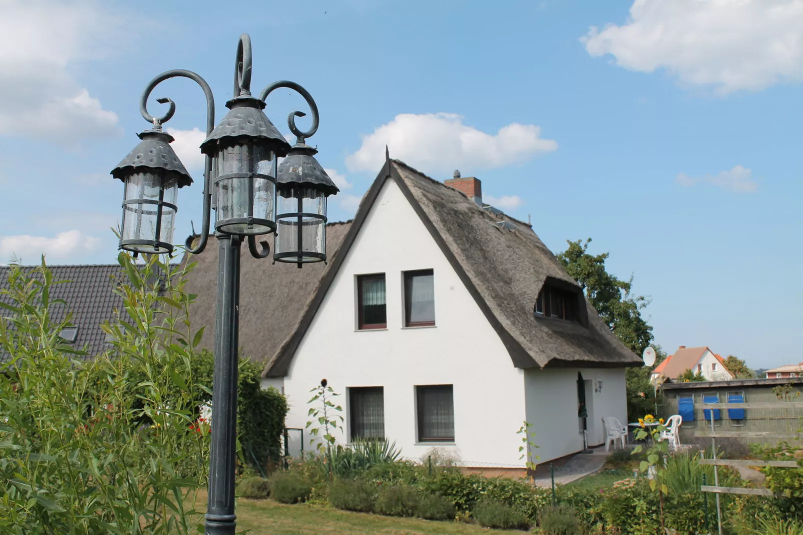 Schwalbenhof im Reetdachhaus-Exterior summer