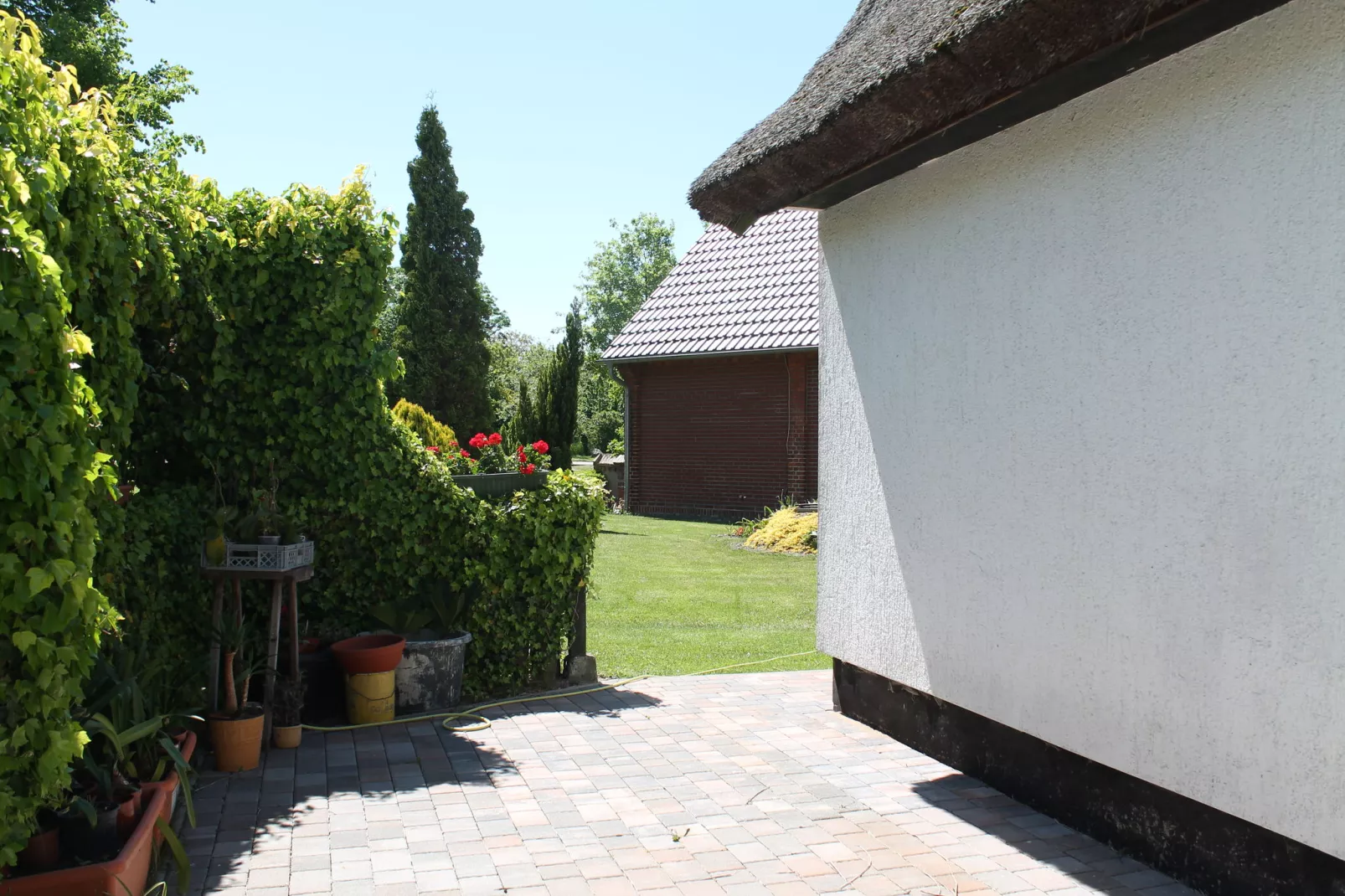 Schwalbenhof im Reetdachhaus-Gardens summer