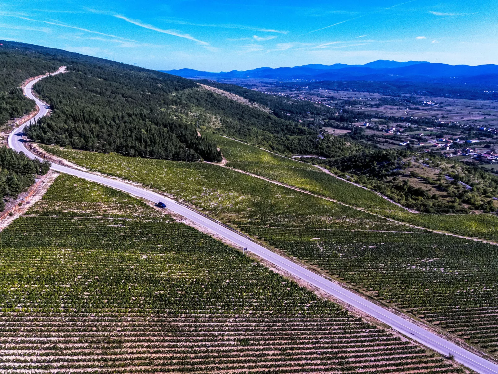 Vila Milančić-Outside