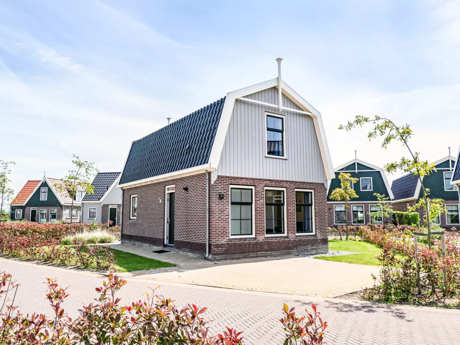Gulden Daalder 8