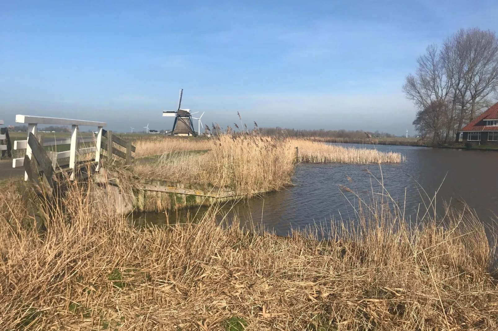 De Waske-Areas summer 5km